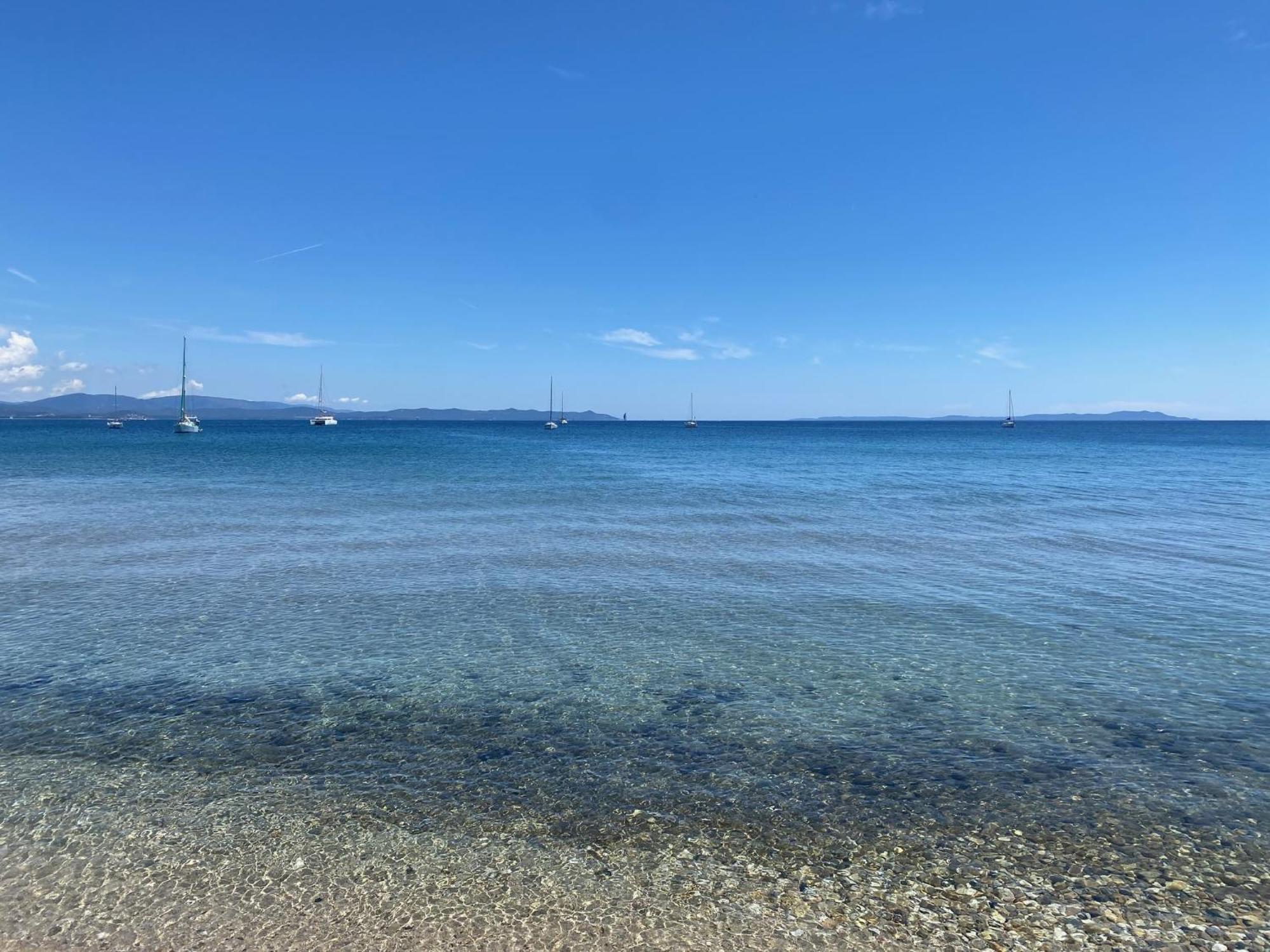 Appartement Les Cigales Rez De Jardin A 10Mn Des Plus Belles Plages Hyeres Exterior photo